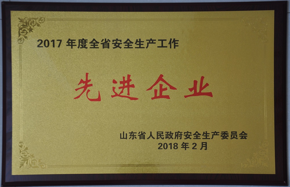 2017年度全省安全生產(chǎn)工作先進(jìn)企業(yè)